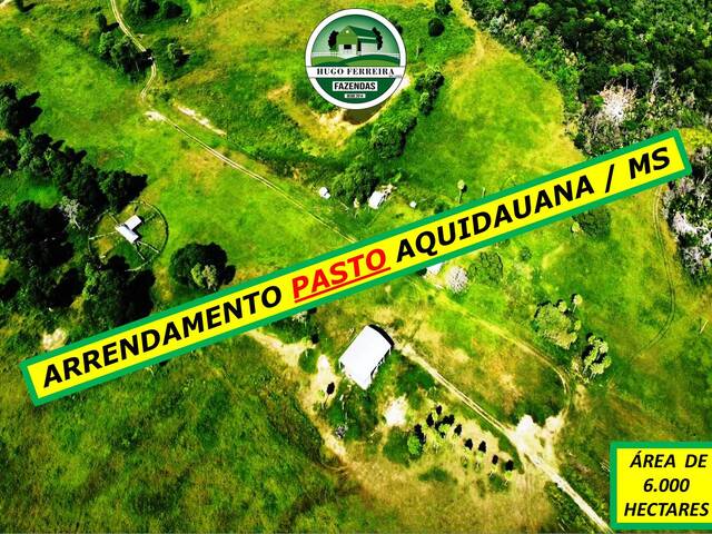 #6248 - Fazenda para Arrendamento em Aquidauana - MS - 1