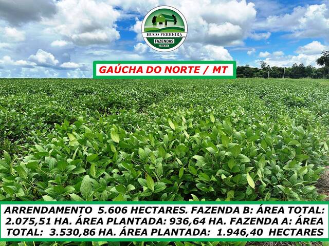 #6255 - Fazenda para Arrendamento em Gaúcha do Norte - MT - 2