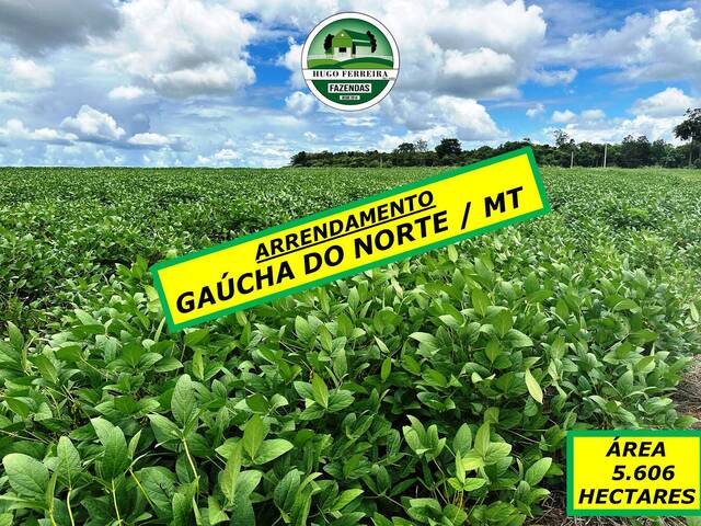 #6255 - Fazenda para Arrendamento em Gaúcha do Norte - MT - 1