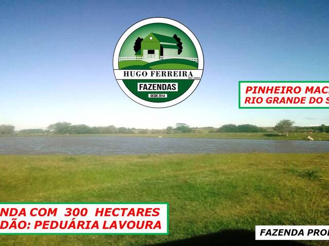 #6260 - Fazenda para Venda em Pinheiro Machado - RS - 3