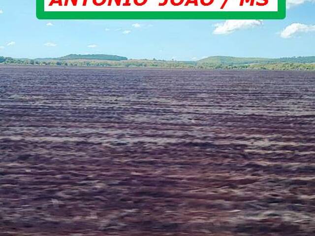 #6277 - Fazenda para Arrendamento em Antônio João - MS - 2