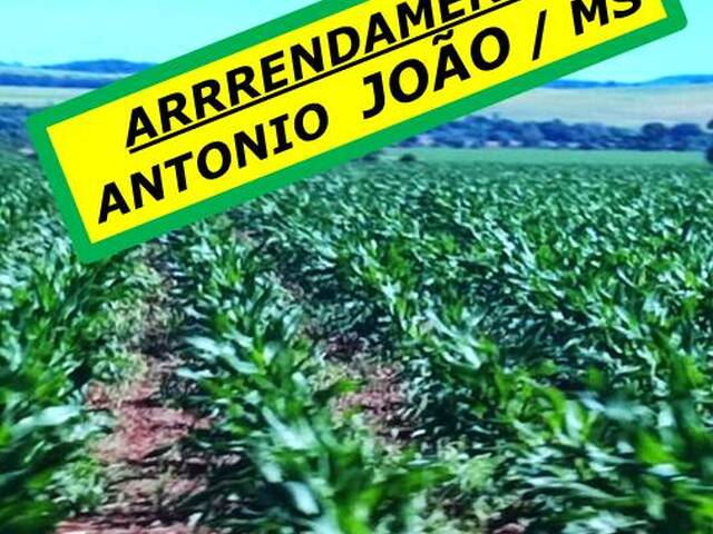 #6277 - Fazenda para Arrendamento em Antônio João - MS - 1