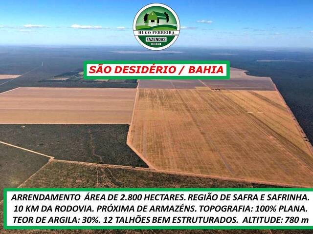 #6288 - Fazenda para Arrendamento em São Desidério - BA - 3