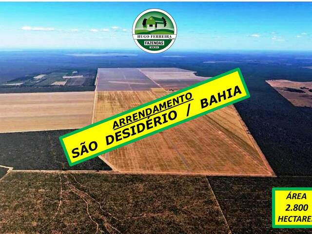#6288 - Fazenda para Arrendamento em São Desidério - BA - 1