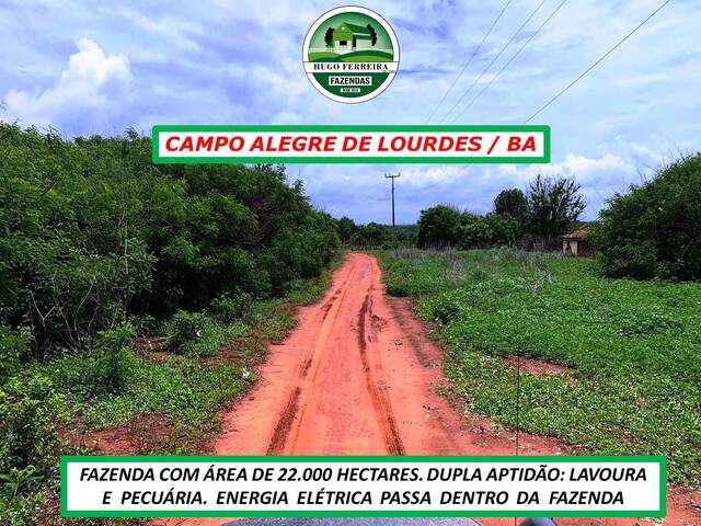 #6300 - Fazenda para Venda em Campo Alegre de Lourdes - BA - 2