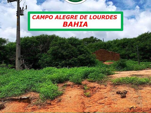 #6300 - Fazenda para Venda em Campo Alegre de Lourdes - BA - 3
