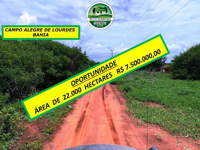 #6300 - Fazenda para Venda em Campo Alegre de Lourdes - BA - 1