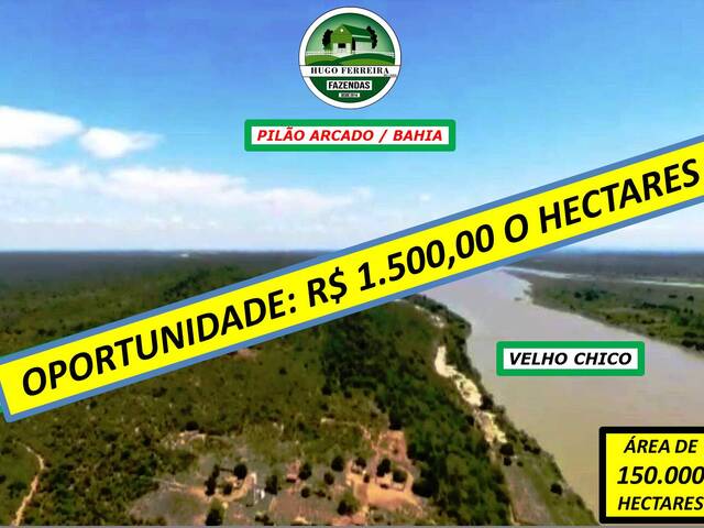 #4899 - Fazenda para Venda em Pilão Arcado - BA