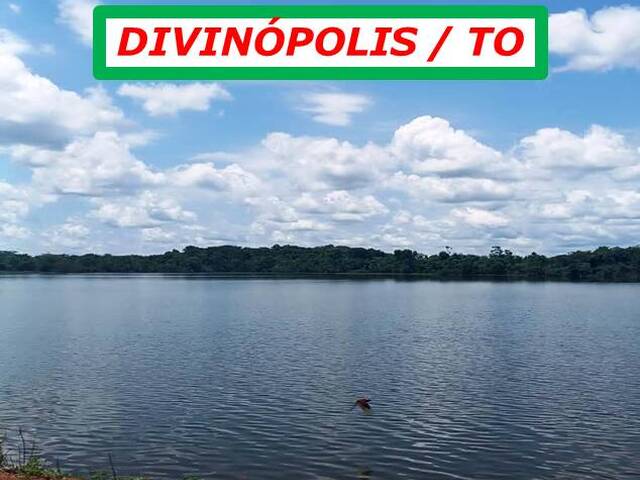 #6311 - Fazenda para Venda em Divinópolis do Tocantins - TO - 1