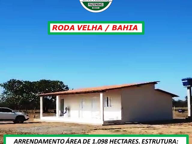 #6363 - Fazenda para Arrendamento em São Desidério - BA - 3