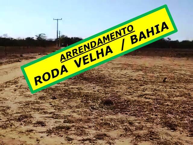 #6363 - Fazenda para Arrendamento em São Desidério - BA - 1