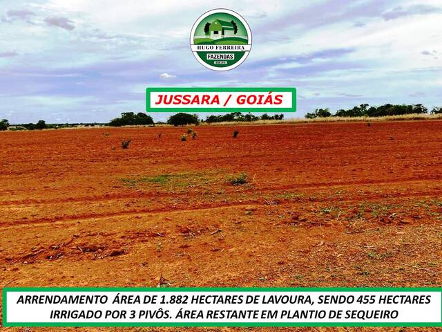 #6333 - Fazenda para Arrendamento em Jussara - GO - 3