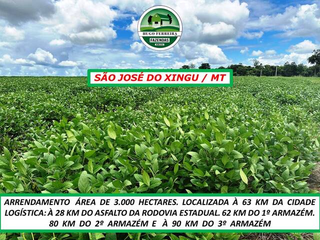 #6344 - Fazenda para Arrendamento em São José do Xingu - MT - 2