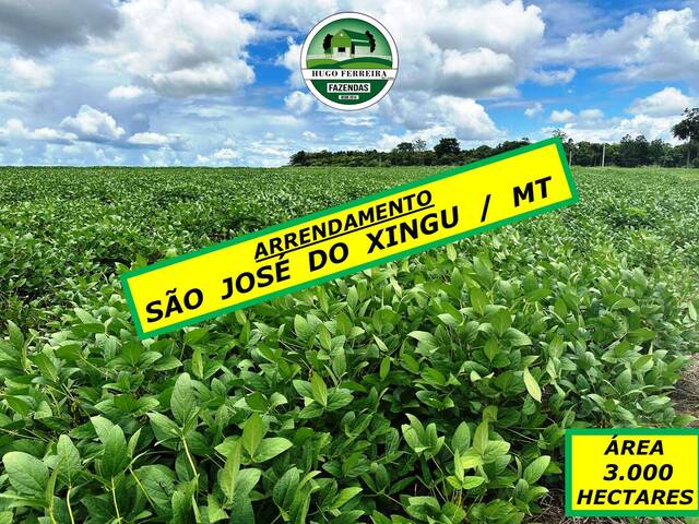 #6344 - Fazenda para Arrendamento em São José do Xingu - MT - 1