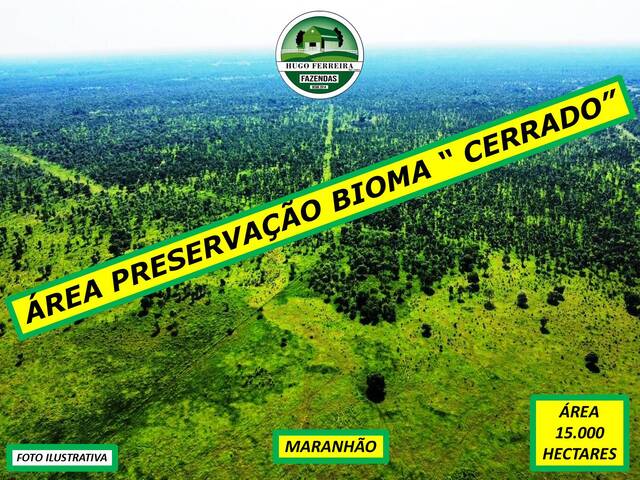 #6355 - Fazenda para Venda em Barreirinhas - MA - 2