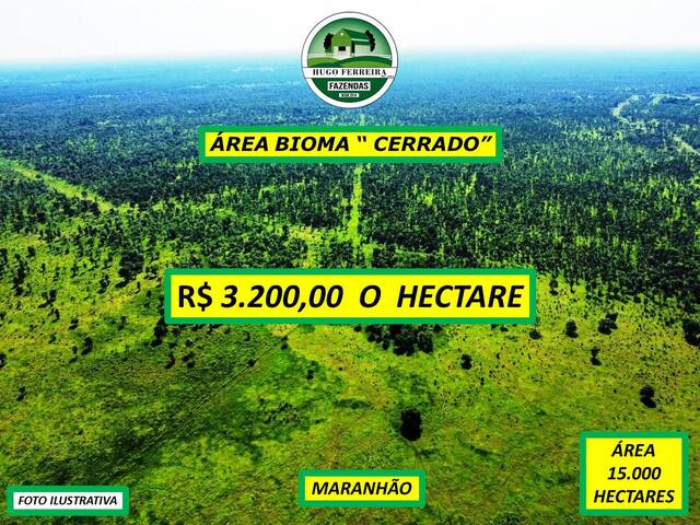 #6355 - Fazenda para Venda em Barreirinhas - MA - 1