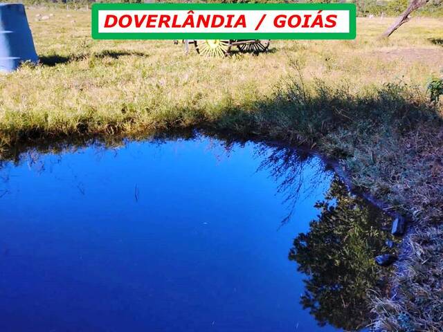 #6433 - Fazenda para Venda em Doverlândia - GO - 2