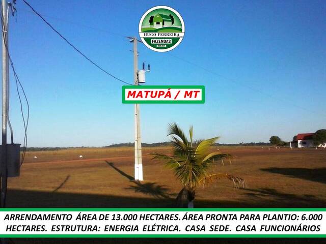 #6377 - Fazenda para Arrendamento em Matupá - MT - 2