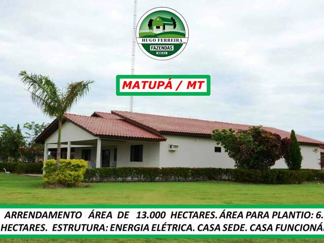 #6377 - Fazenda para Arrendamento em Matupá - MT - 3