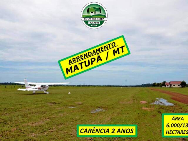 #6377 - Fazenda para Arrendamento em Matupá - MT - 1