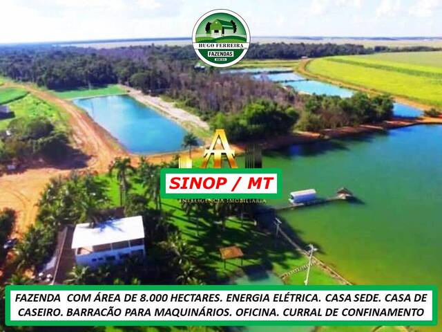 #6543 - Fazenda para Venda em Sinop - MT - 1