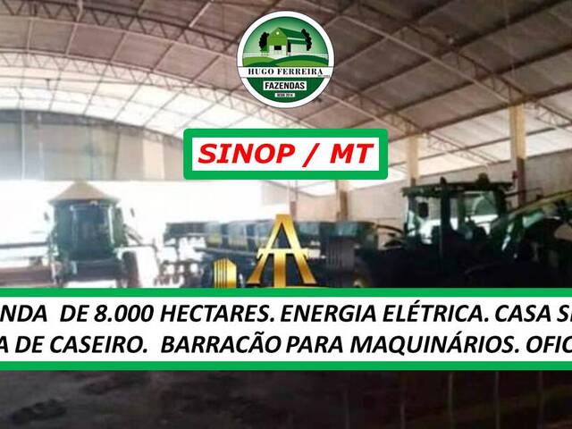 #6543 - Fazenda para Venda em Sinop - MT - 2