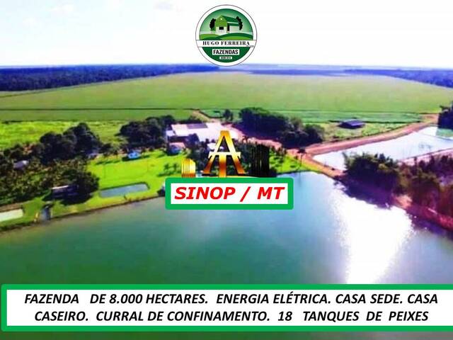 #6543 - Fazenda para Venda em Sinop - MT - 3