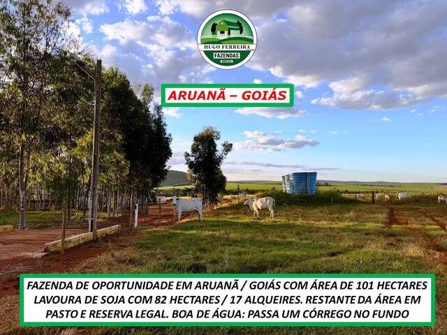 #6511 - Fazenda para Venda em Aruanã - GO - 2