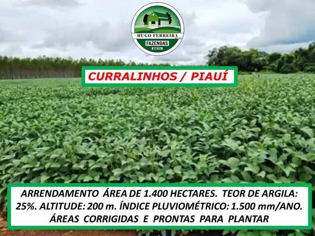 #6585 - Fazenda para Arrendamento em Curralinhos - PI - 2