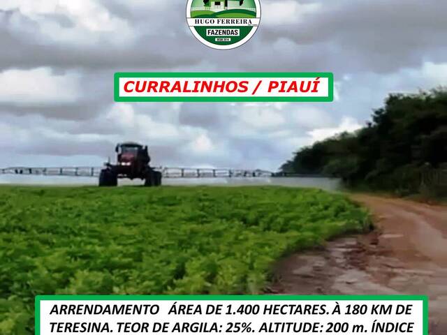 #6585 - Fazenda para Arrendamento em Curralinhos - PI - 3