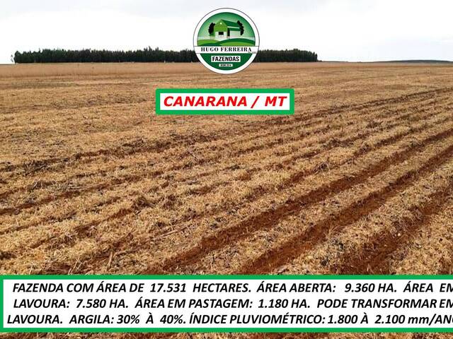 #6595 - Fazenda para Venda em Canarana - MT - 1
