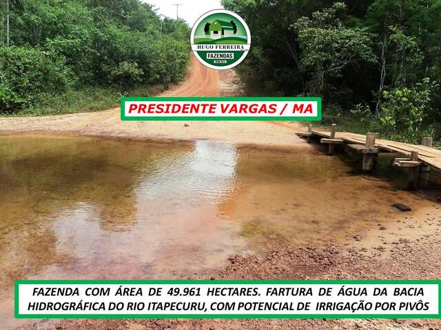 #6600 - Fazenda para Venda em Presidente Vargas - MA - 3
