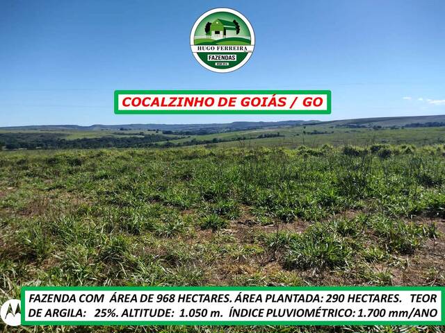 #6622 - Fazenda para Venda em Cocalzinho de Goiás - GO - 2
