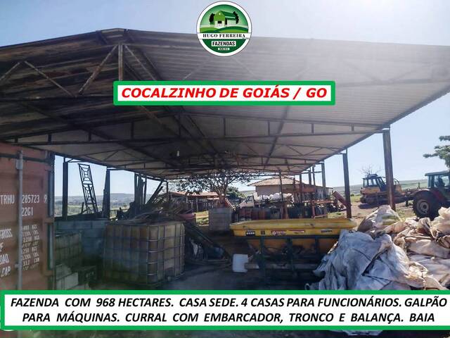 #6622 - Fazenda para Venda em Cocalzinho de Goiás - GO - 1