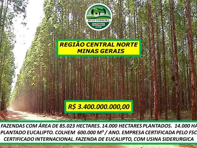 #6641 - Fazenda para Venda em Montes Claros - MG - 1