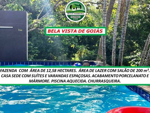 #6655 - Fazenda para Venda em Bela Vista de Goiás - GO - 1