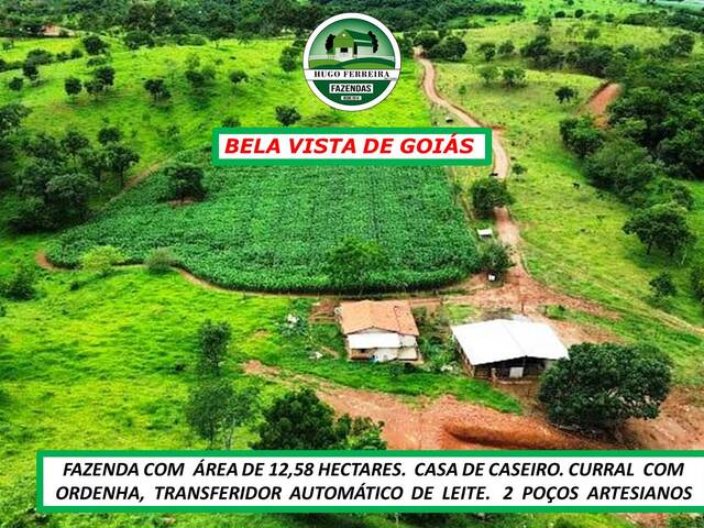 #6655 - Fazenda para Venda em Bela Vista de Goiás - GO - 2