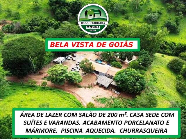 #6655 - Fazenda para Venda em Bela Vista de Goiás - GO - 3