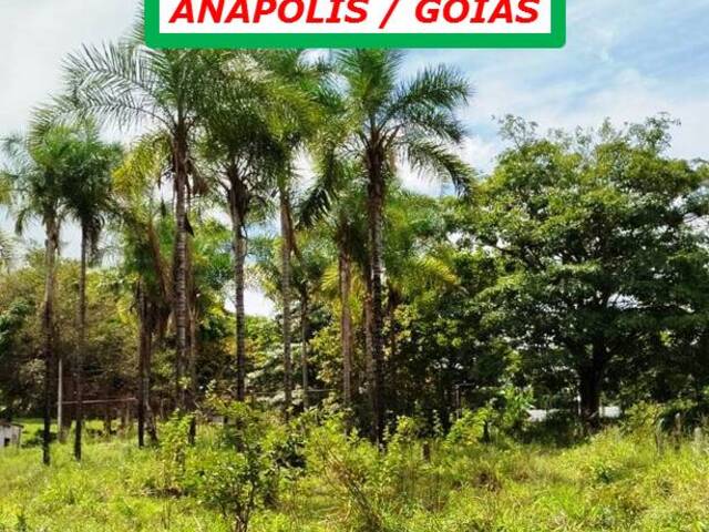 #6677 - Chácara para Venda em Anápolis - GO - 1