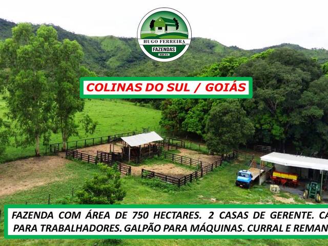 #6711 - Fazenda para Venda em Colinas do Sul - GO - 3