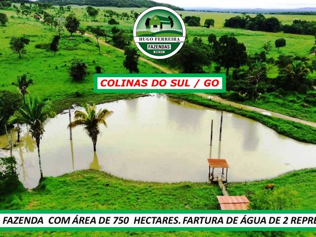 #6711 - Fazenda para Venda em Colinas do Sul - GO - 1