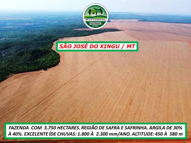 #6722 - Fazenda para Venda em São José do Xingu - MT - 1