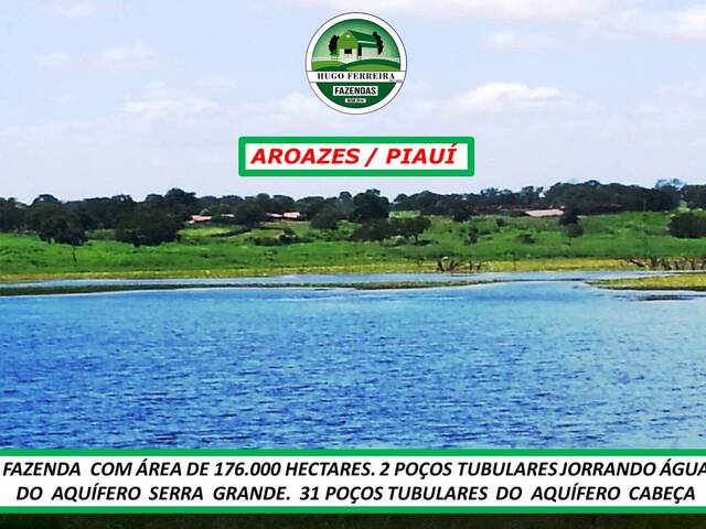 #6733 - Fazenda para Venda em Aroazes - PI - 1