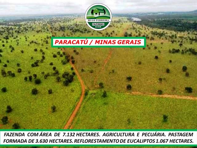 #6755 - Fazenda para Venda em Paracatu - MG - 1
