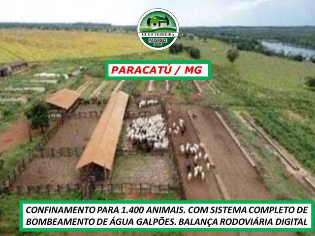 #6755 - Fazenda para Venda em Paracatu - MG - 2