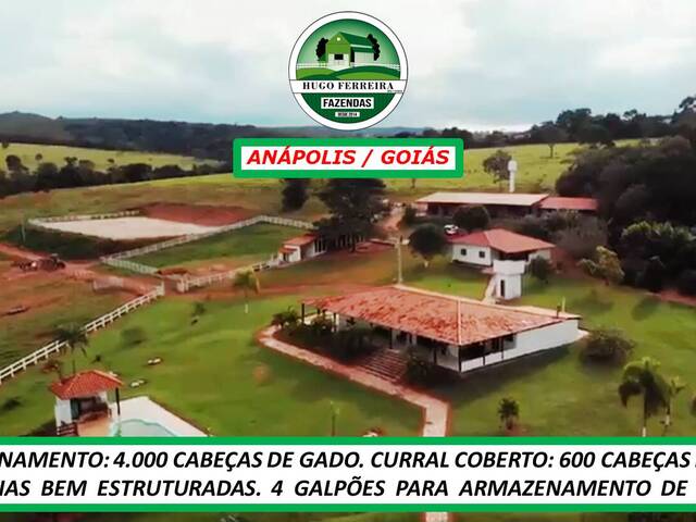 #6788 - Fazenda para Venda em Anápolis - GO - 1