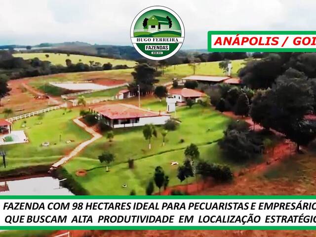 #6788 - Fazenda para Venda em Anápolis - GO - 3