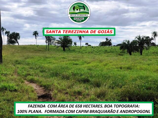 #6811 - Fazenda para Venda em Santa Terezinha de Goiás - GO - 2