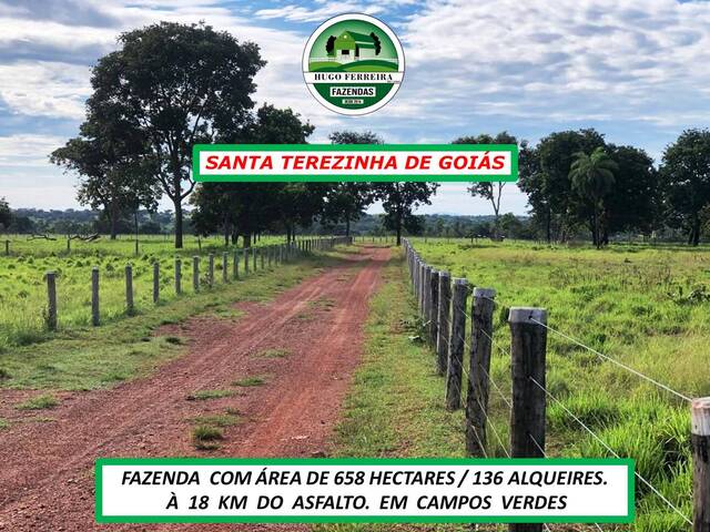 #6811 - Fazenda para Venda em Santa Terezinha de Goiás - GO - 3
