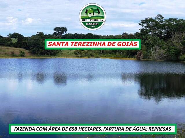 #6811 - Fazenda para Venda em Santa Terezinha de Goiás - GO - 1
